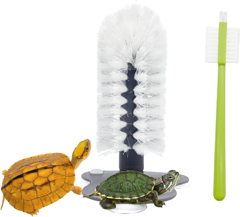 Odebyata Turtle Brush with Strong Suction Cup,Turtle Back Clean Brush to Remove Mud Dirt,Turtle Owners Lovers Accessories for Turtle Tank Turtle Habitat, Turtle Shell Clean Brush Tools - Image 1